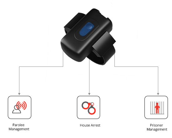 Gosafe Tracker Infrator Aplicação